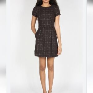 Birds Of North America Drongo Dress Size 10